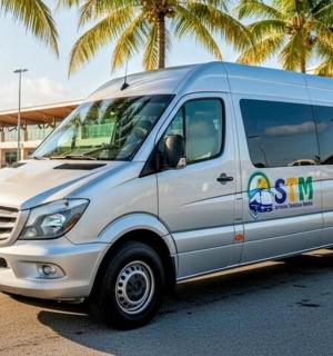 一辆银色货车停在棕榈树环绕的停车场