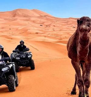 沙漠里站着一头骆驼，旁边有两个人骑着全地形车。