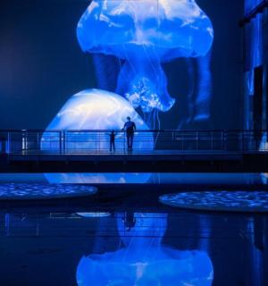 a person standing in front of a large jelly whale