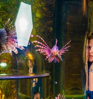 a woman standing next to a glass bowl with fish