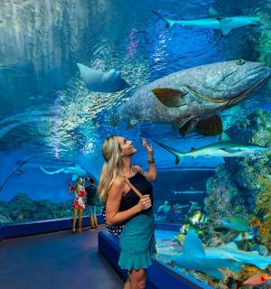 žena stojící před velkým akváriem