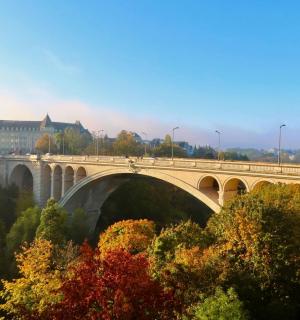 un pont sobre un riu amb arbres i edificis