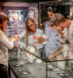 bir vitrindeki bir vitrini inceleyen üç kişi