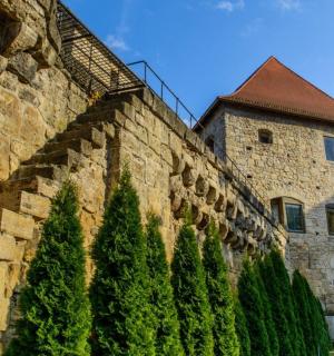 eine Steinmauer mit Bäumen neben einem Gebäude