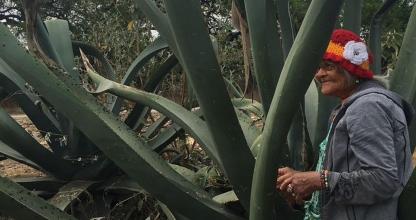 Una mujer mayor parada junto a un cactus