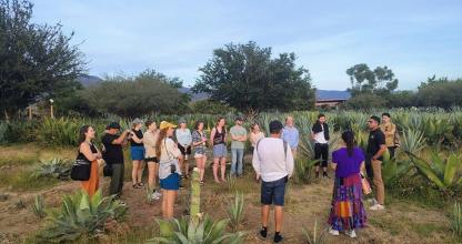 Un grupo de personas de pie en un campo mirando las plantas.