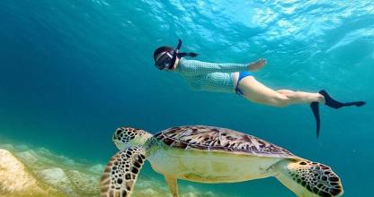 una persona nadando junto a una tortuga en el océano