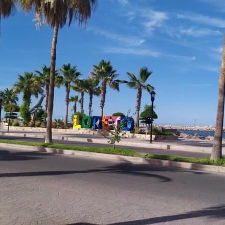 una strada con palme e una strada con una spiaggia