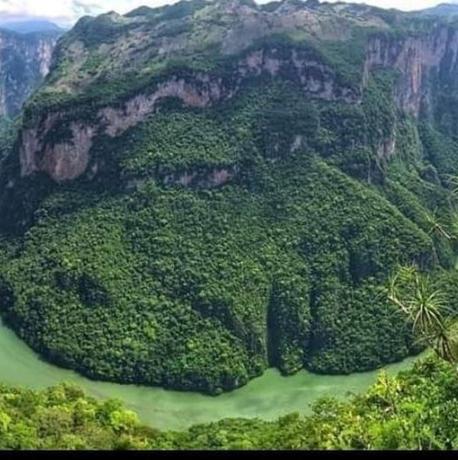 un río en medio de una montaña con árboles