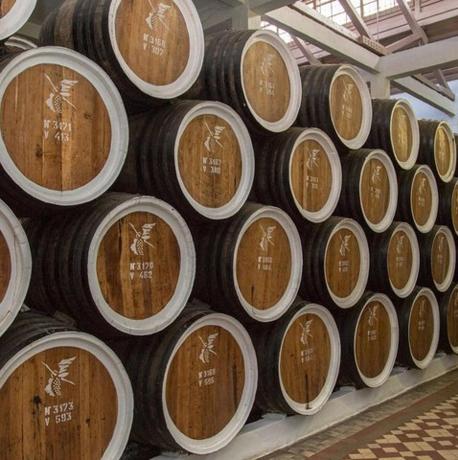 egy csomó boroshordó halmozva a falon