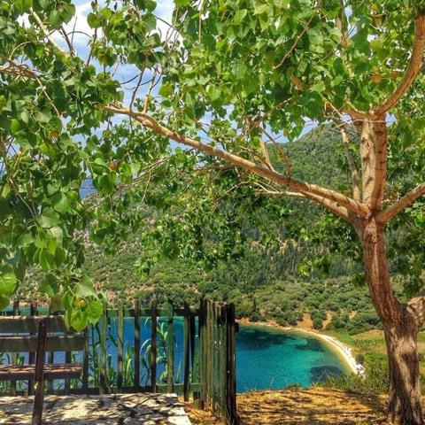 pokok dengan pagar dan kolam air