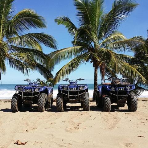 two atvs and palm trees on a beach