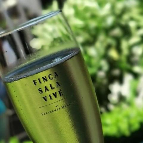 a wine glass with a green liquid in it