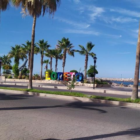 a street with palm trees and a street with a beach