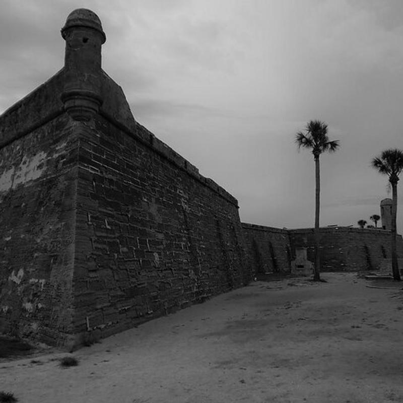 a brick wall with palm trees in the background