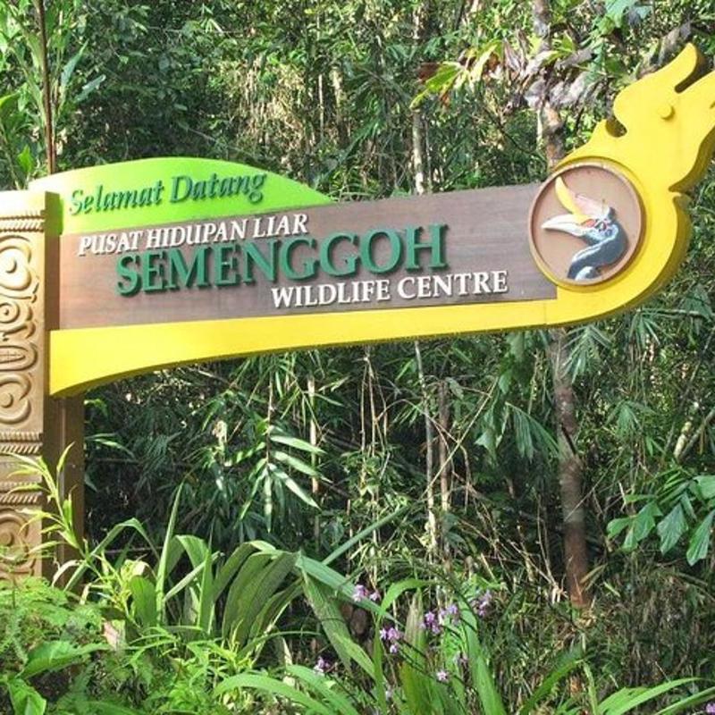 Semenggoh Wildlife Centre