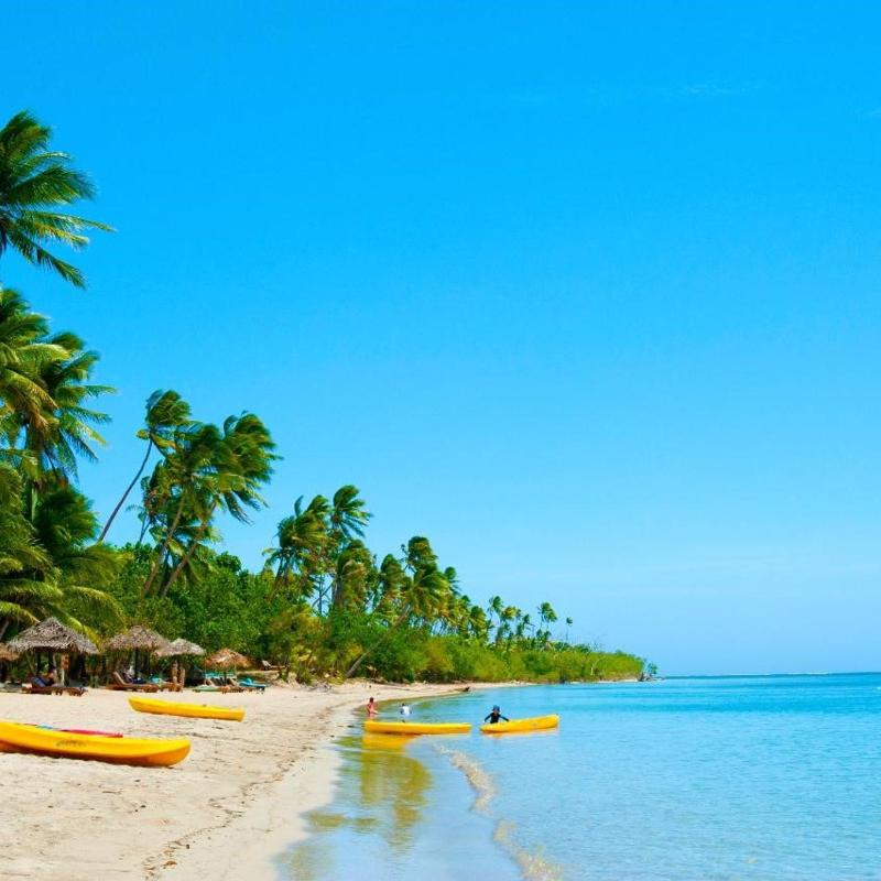 Robinson Crusoe Island Half-day Tour Viseisei – Booking.com