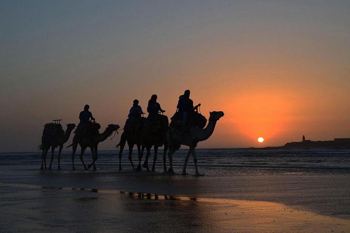 a group of people riding camels on the beach at sunset