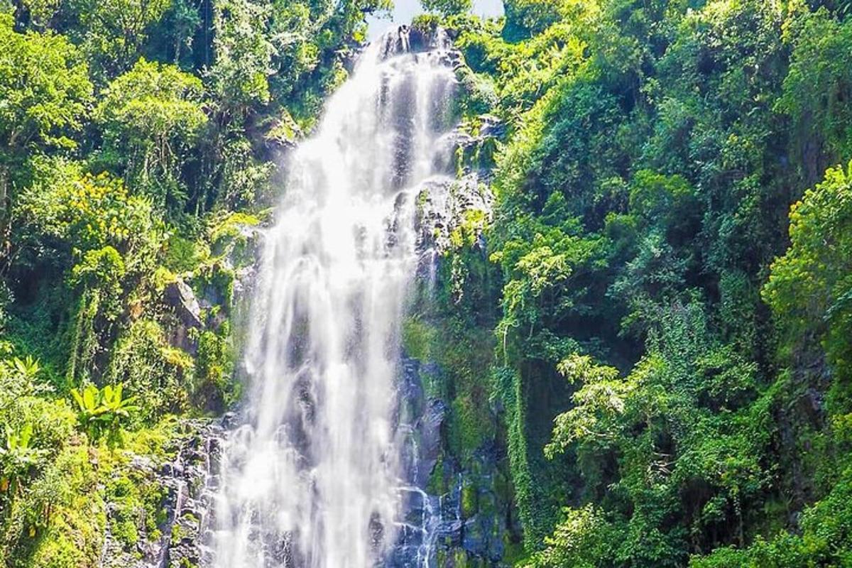 a waterfall in the middle of a forest