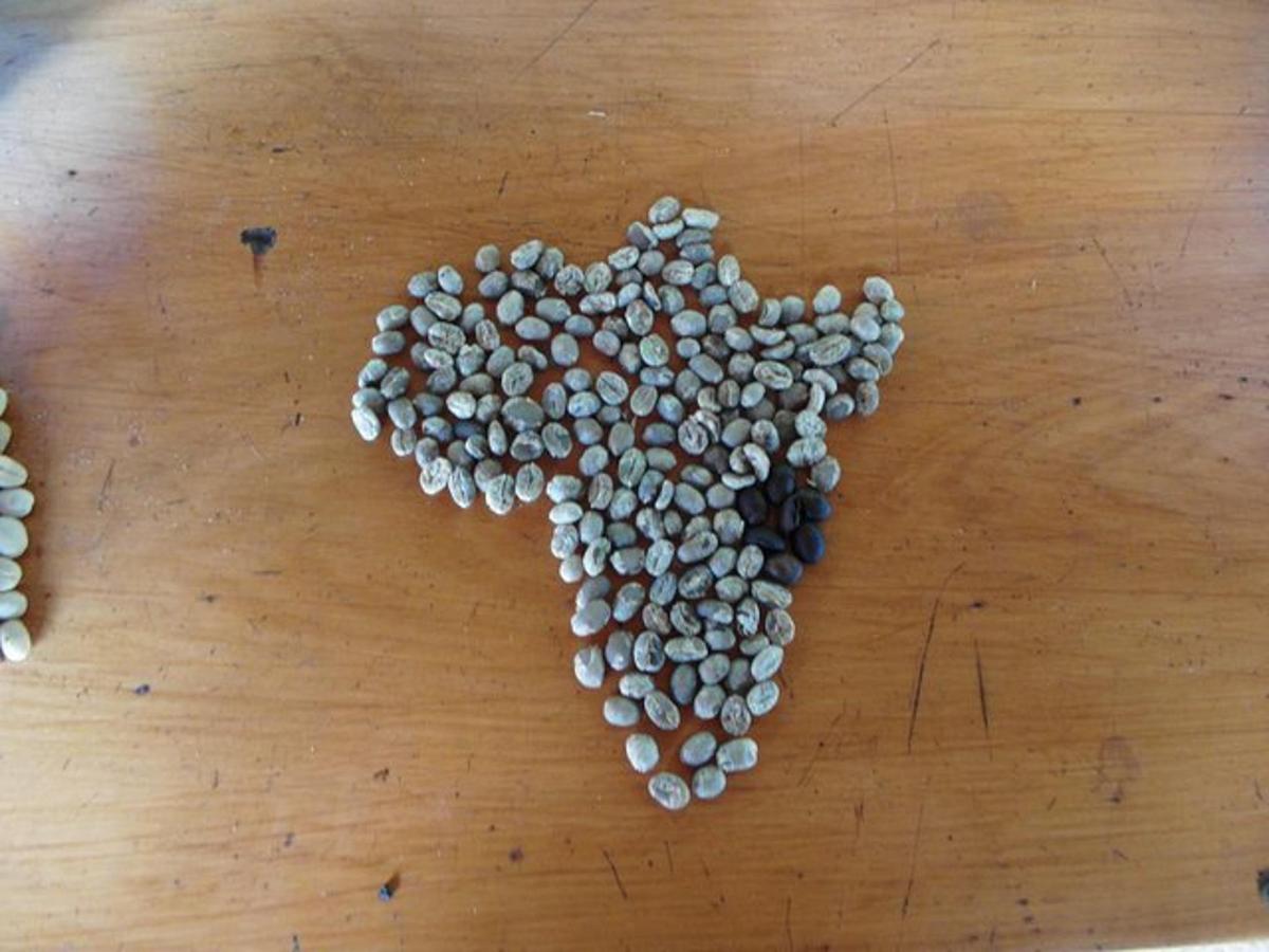 a pile of nuts in the shape of a flower