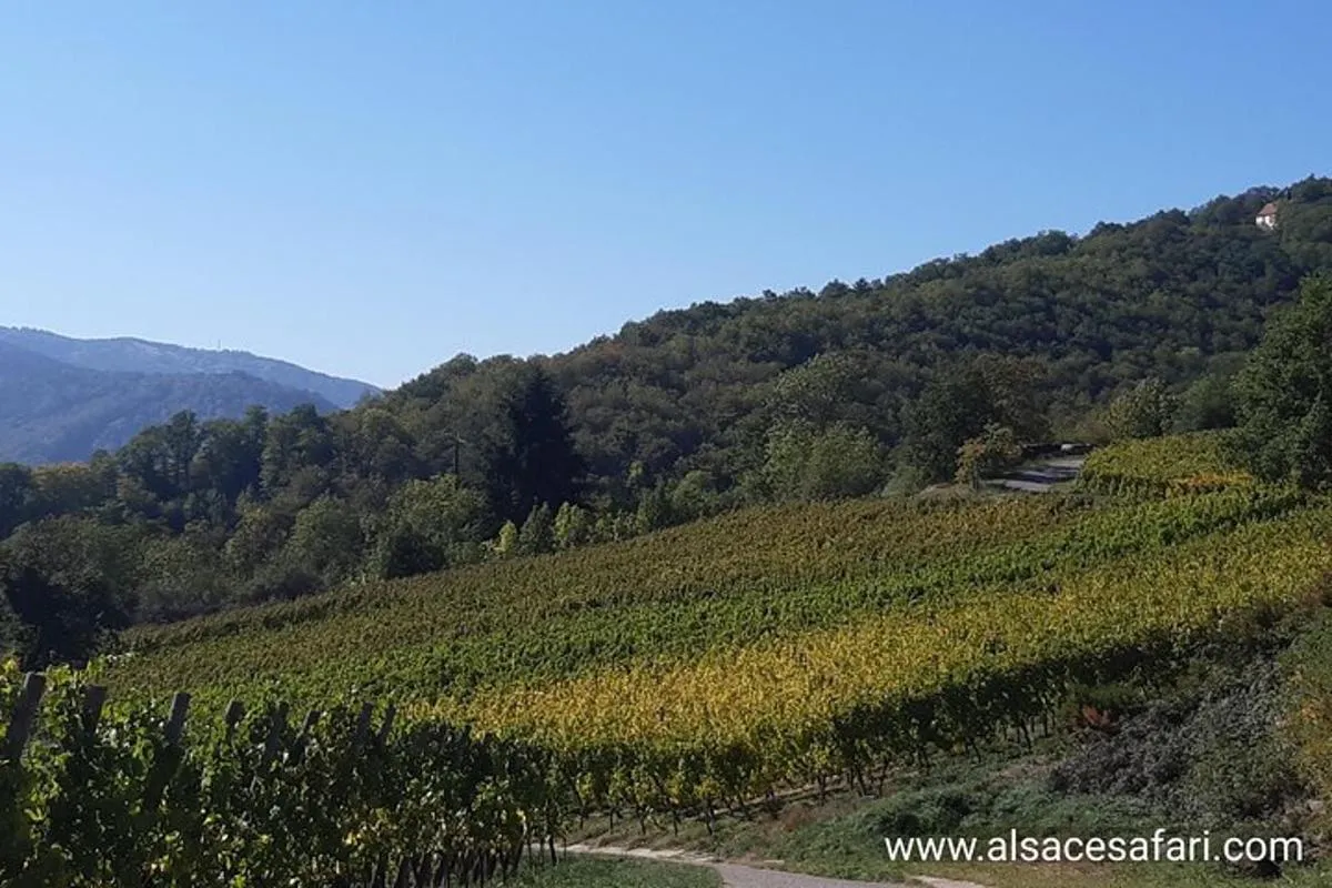 Safari-Tour Villages et vignoble, 1/2 journée après-midi – photo 1