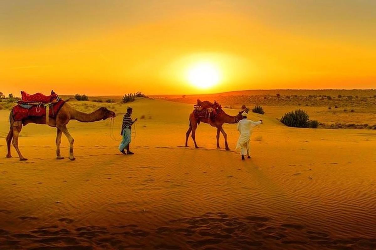 two people walking two horses in the desert at sunset