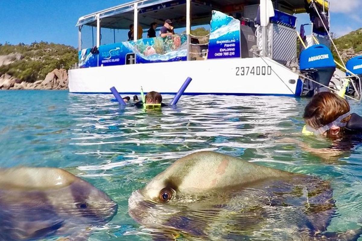a group of people in the water next to a boat