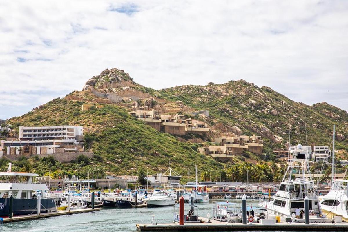 o grămadă de bărci acostate într-un port cu un munte