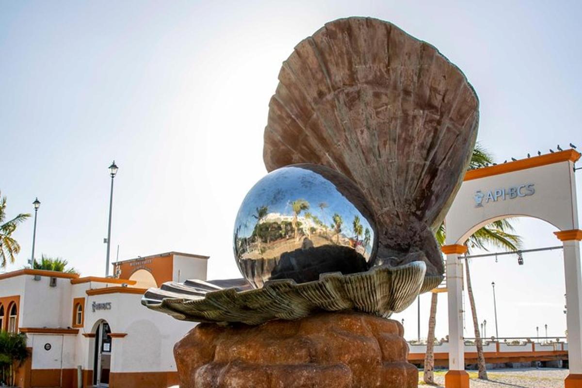 uma estátua de uma concha e um gato em