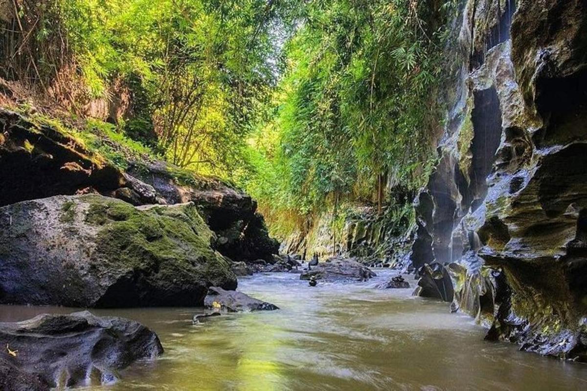 un fiume in un canyon con rocce e alberi