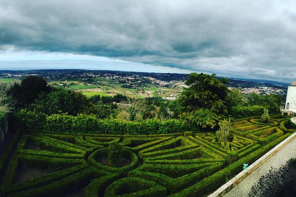 una vista di un labirinto in un giardino