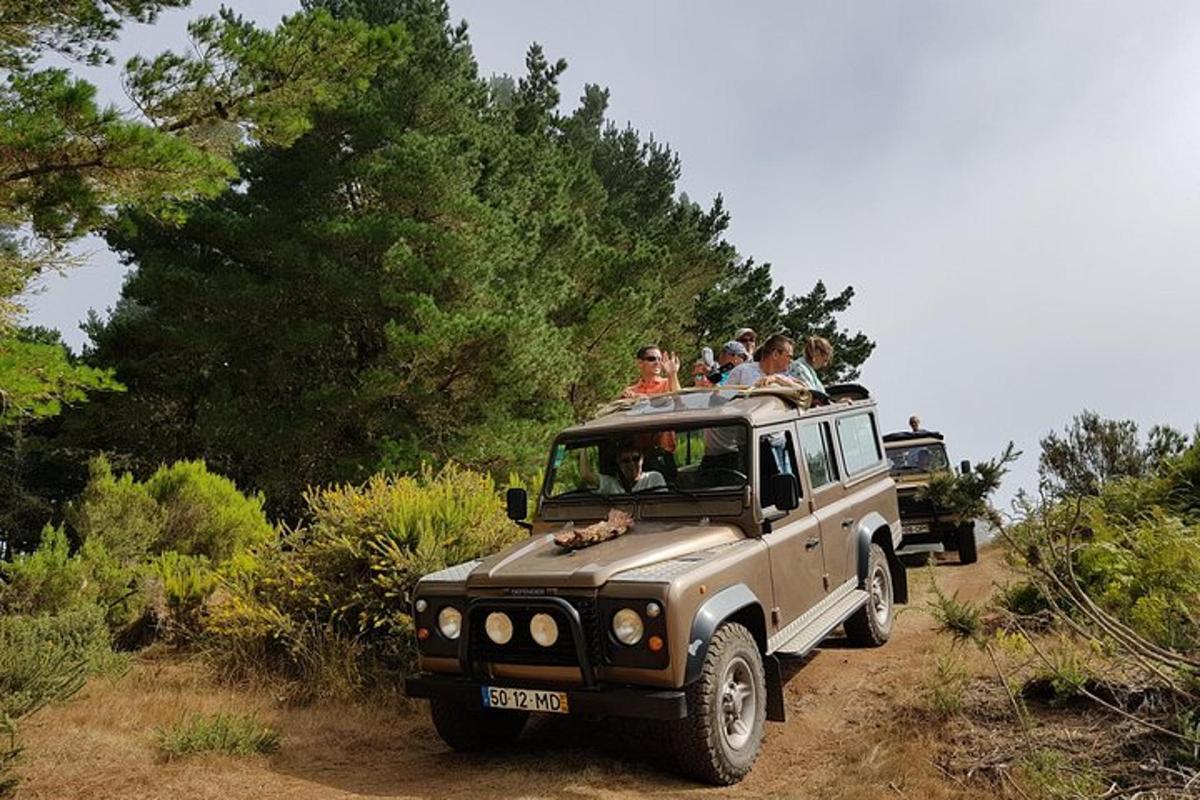 hópur fólks sem situr aftan á vörubíl