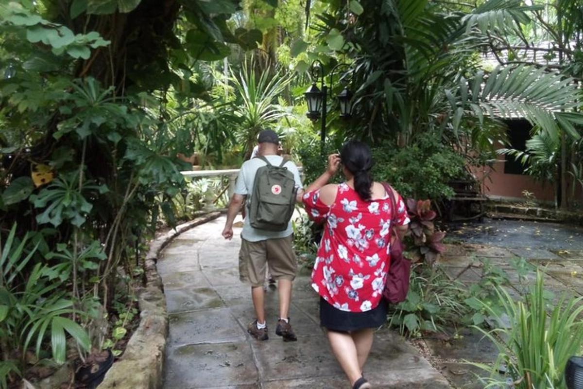 a man and a woman walking through the jungle