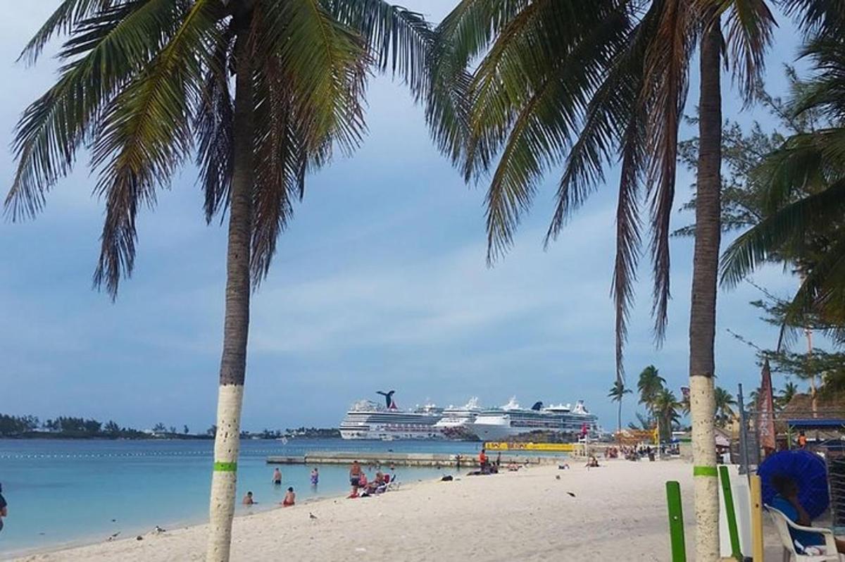 una nave da crociera è attraccata su una spiaggia con palme