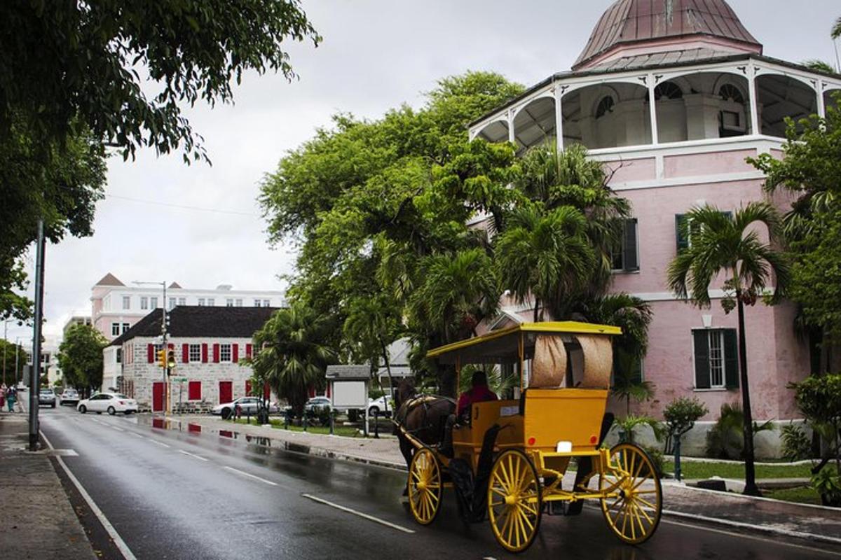 a horse drawn carriage driving down a city street