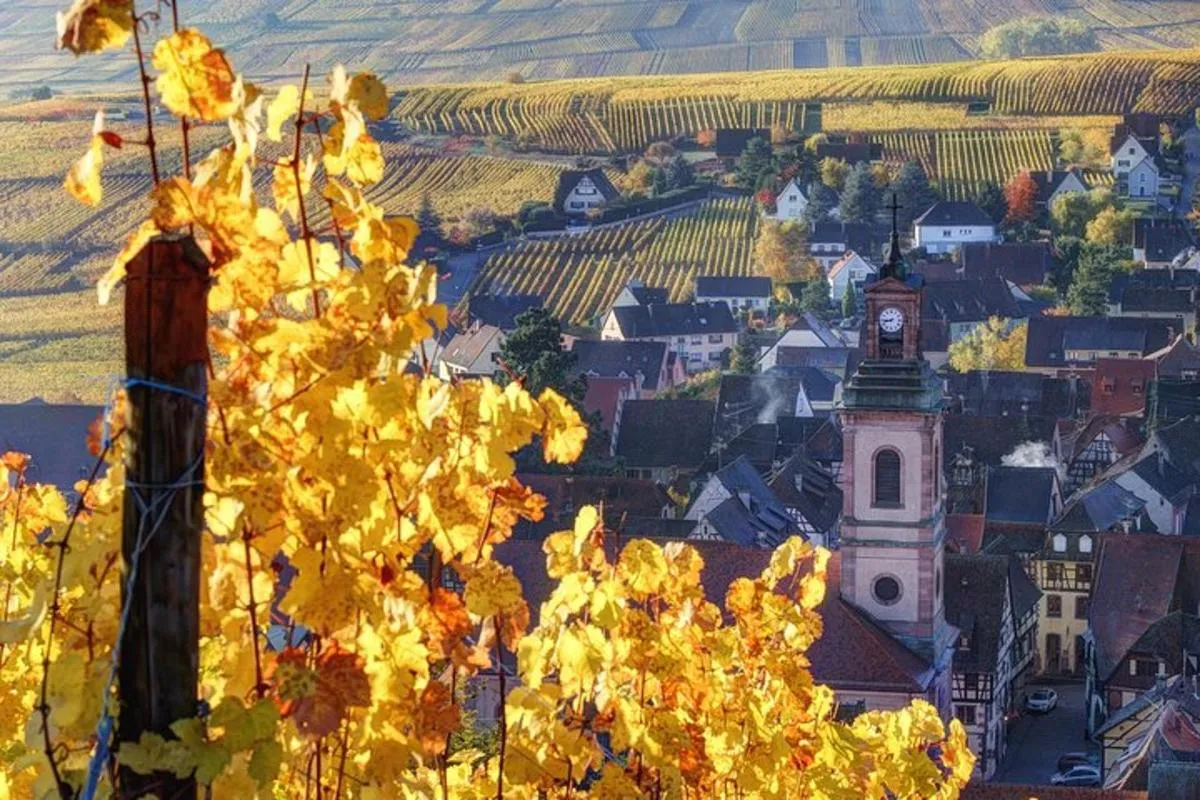 Excursion d'une demi-journée dans les villages d'Alsace au départ de Colmar – photo 3