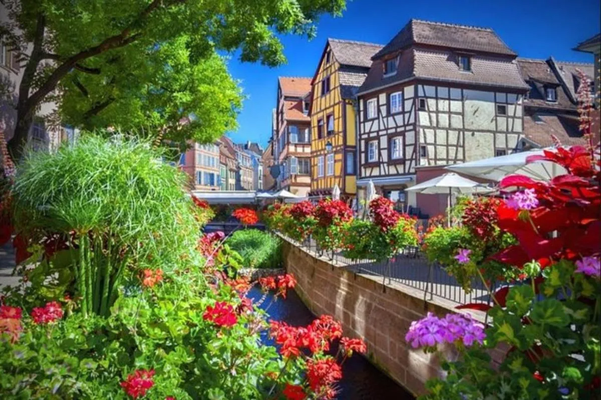 Alsace's Gems Small Group Day Tour from Colmar – photo 5