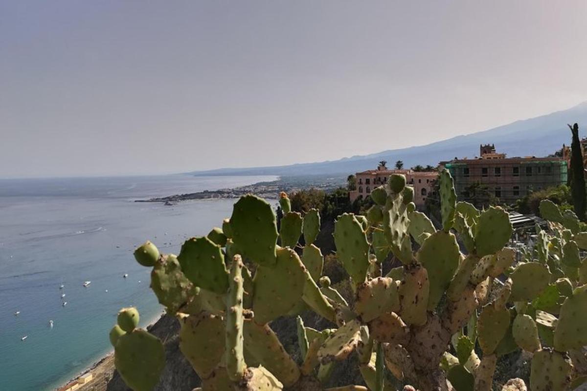 un cactus su una collina vicino all'oceano