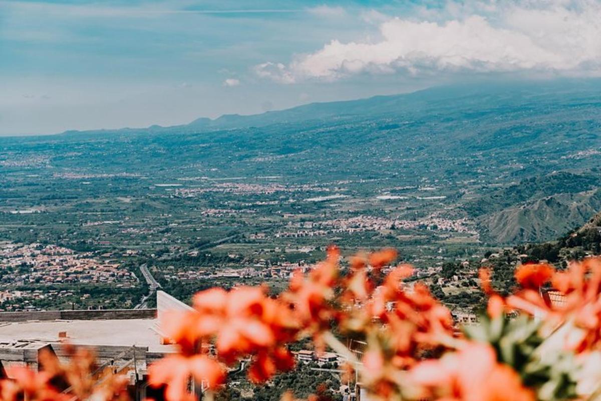una vista di una città con fiori rossi in primo piano
