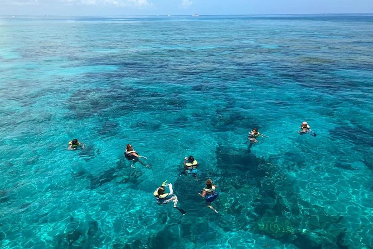 eine Gruppe von Menschen, die im Meer schwimmen