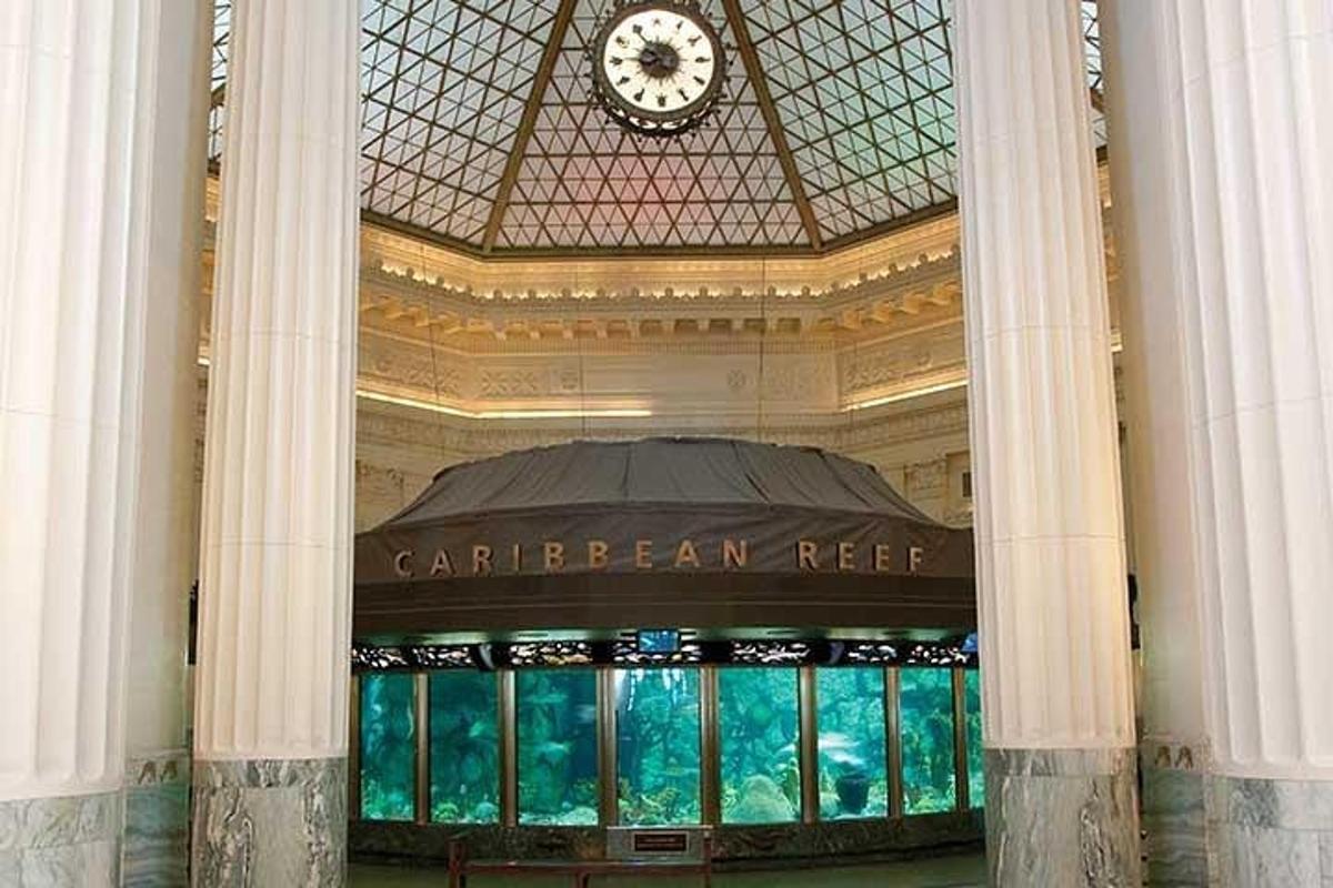 a large building with a clock on the ceiling
