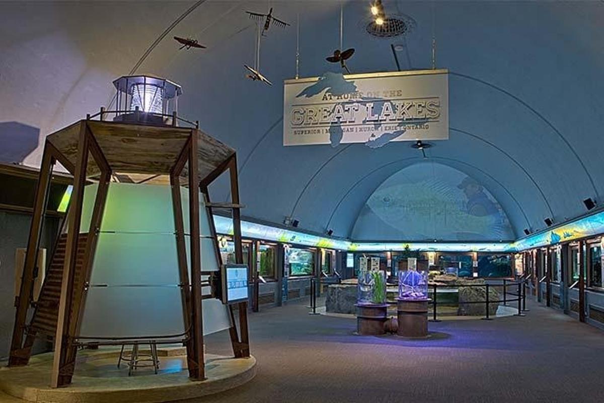 a museum with a display of exhibits in a building