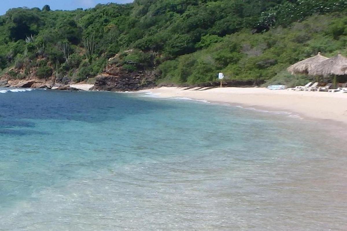 una spiaggia con un gruppo di sedie e l'oceano