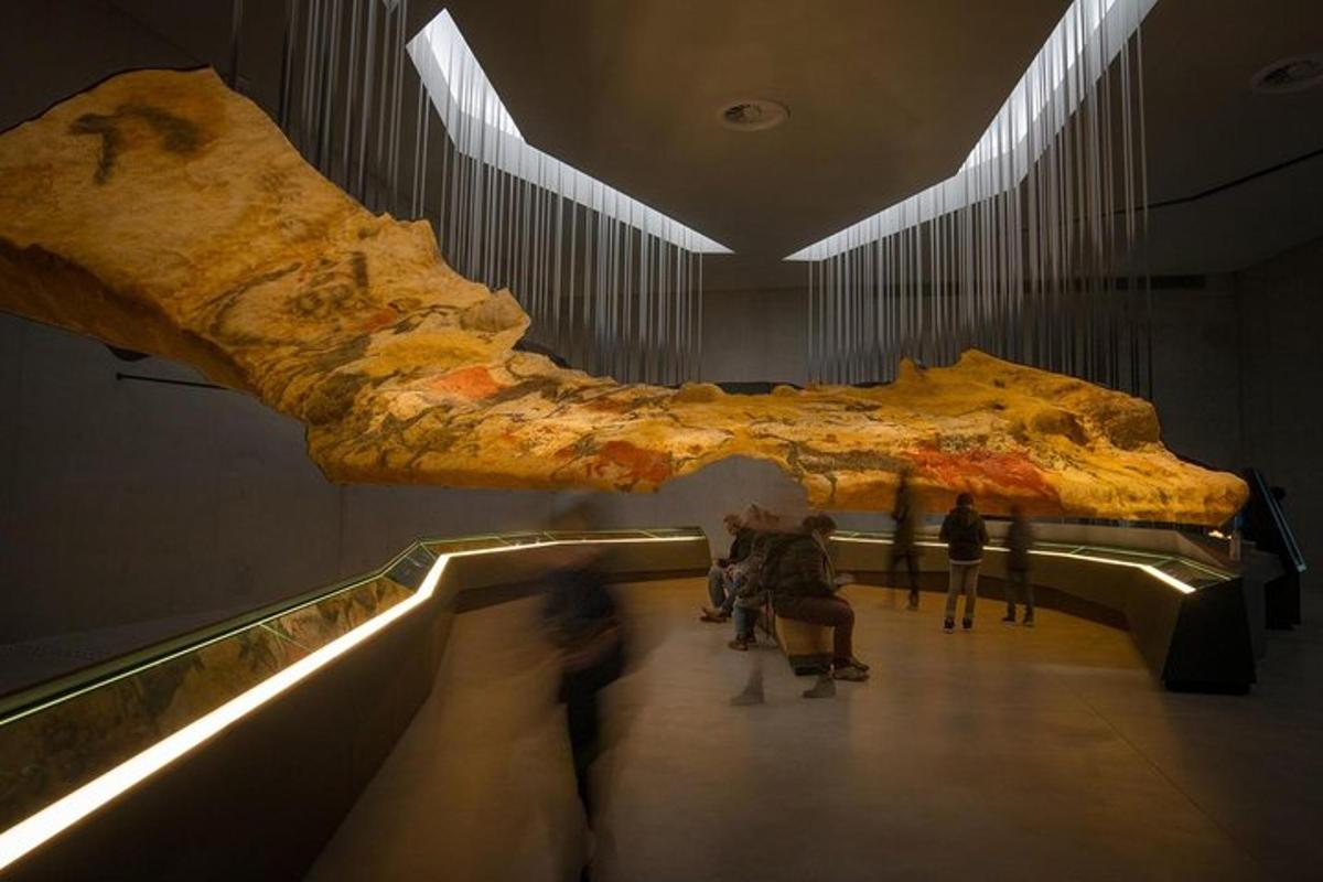 un museo con un grande fossile di pesce sul muro