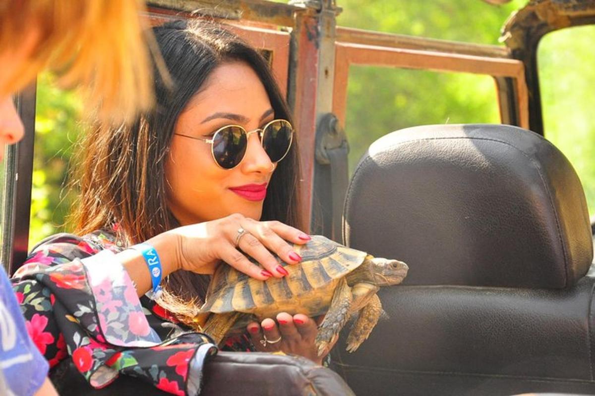 Turistik nokta fotoğrafı 3