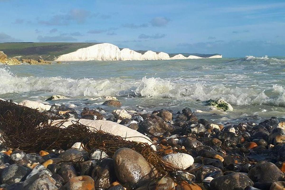 una spiaggia rocciosa con rocce e l'oceano
