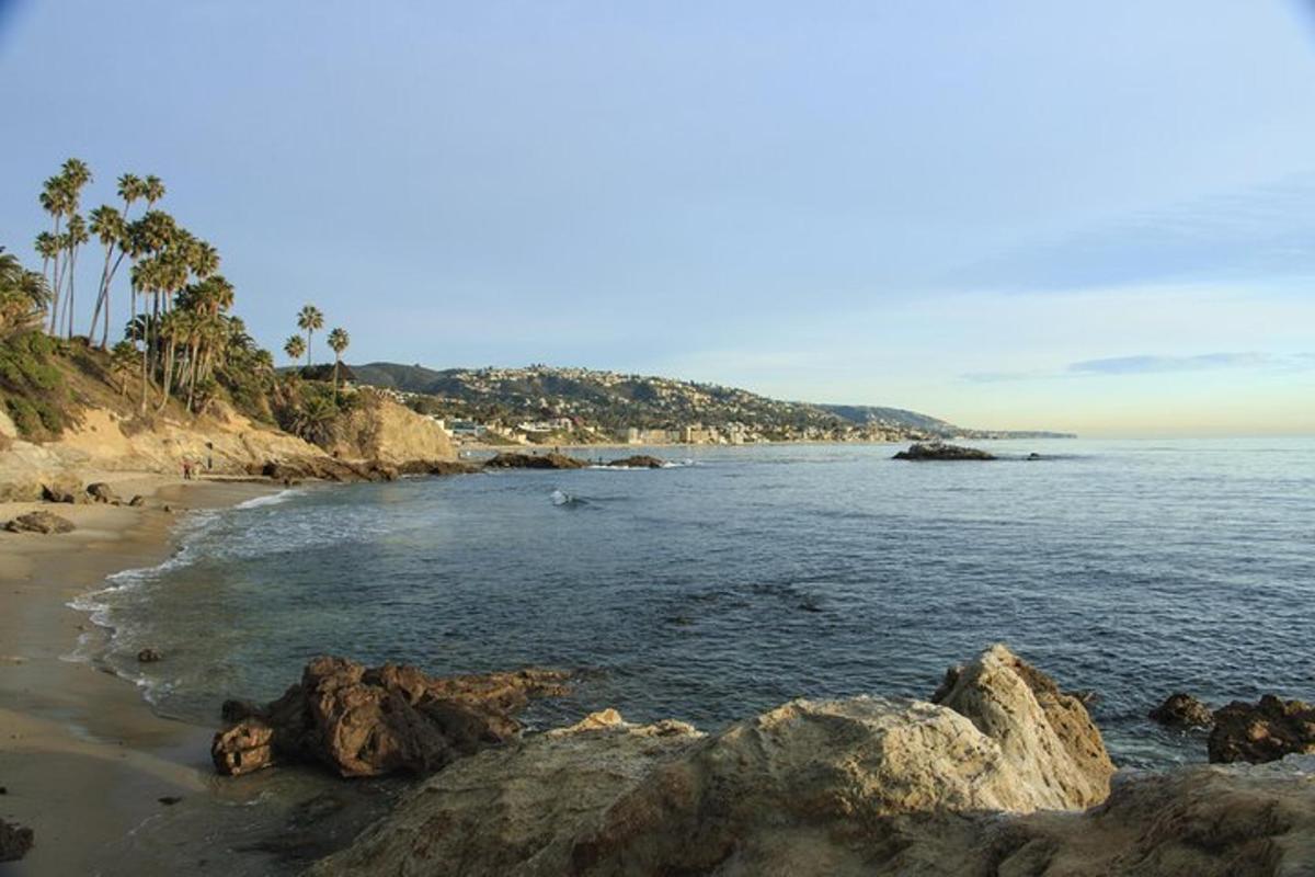 a beach with rocks in the water and palm trees