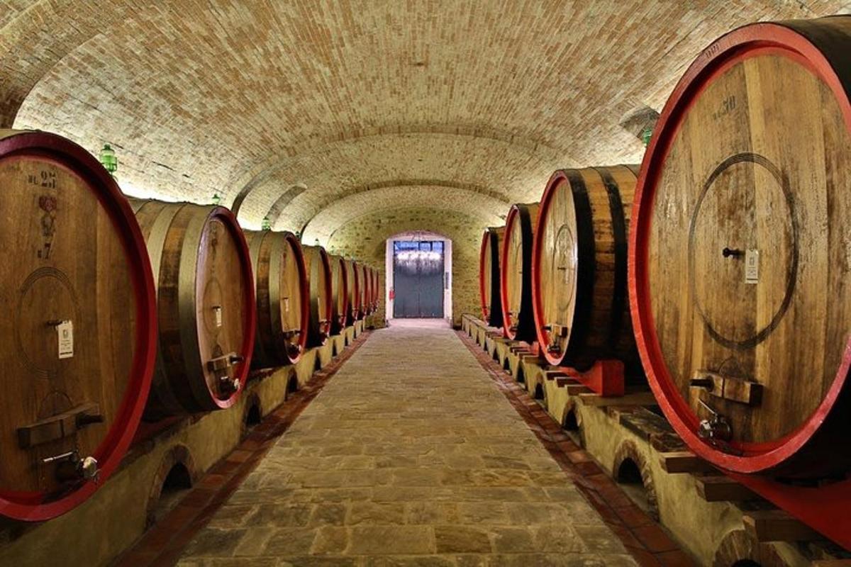 una fila di botti di vino in un tunnel