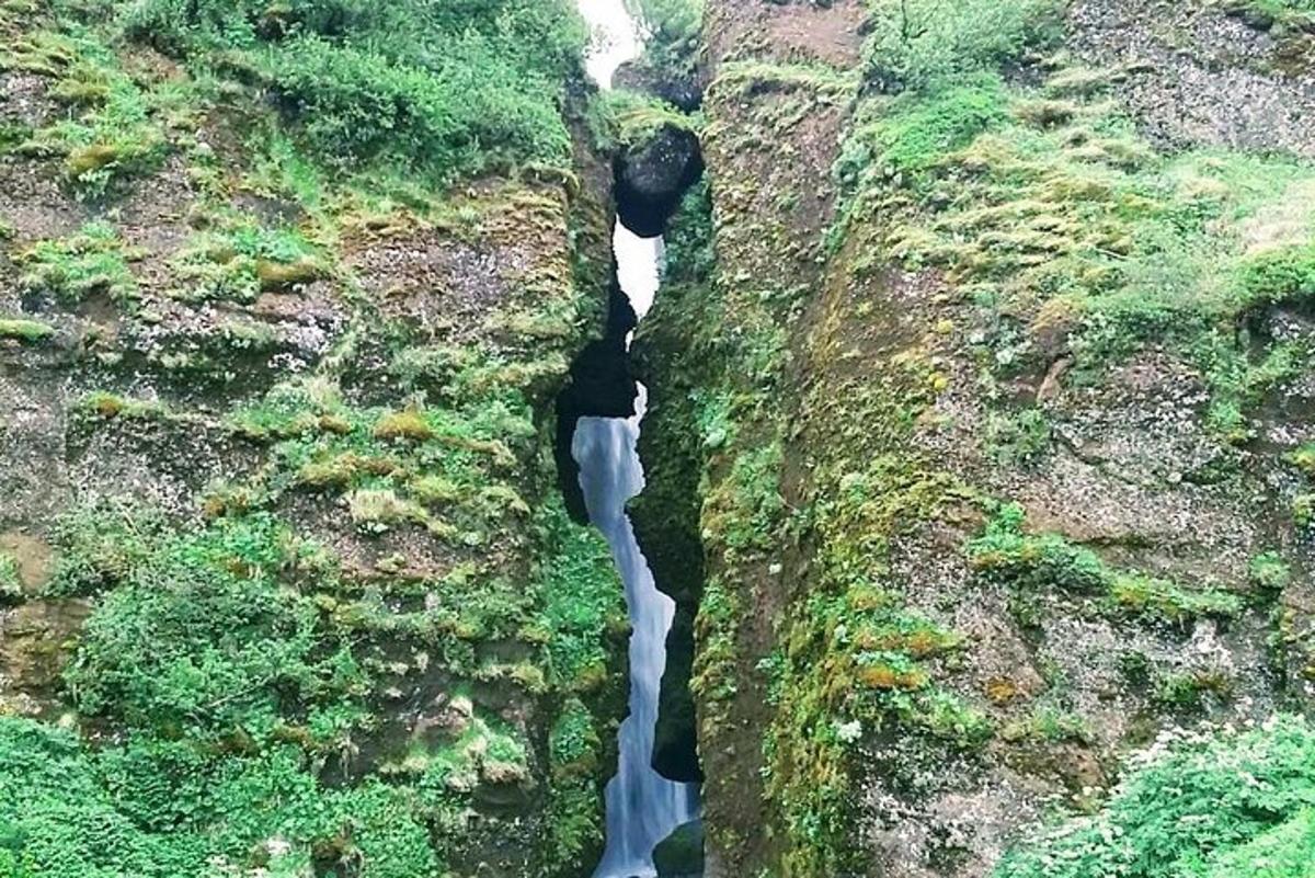 Fotografia 4 a atracției