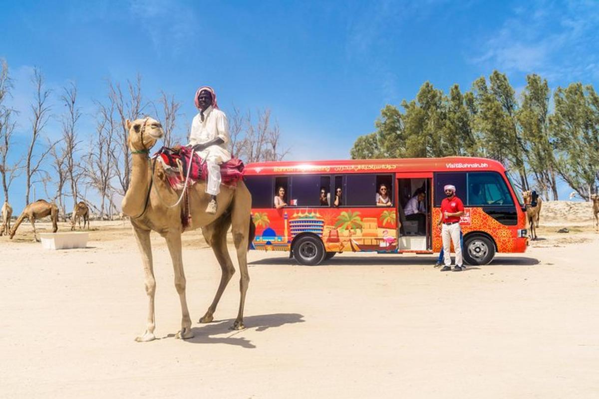 a man riding a camel in front of a bus